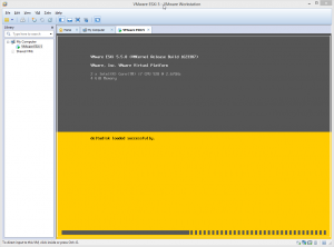 ESXi Installation starten