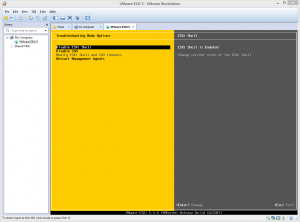 SSH und ESXi Shell aktivieren