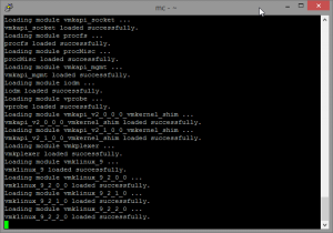 ESXi Boot auf APU