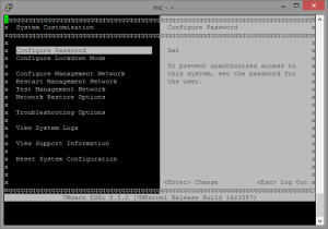 ESXi Konsole